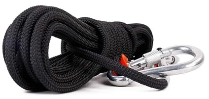 DJHGNFRDK Cuerda de Nailon de Alta Resistencia, Cuerda estática de Descenso Outdoor 10mm Negra 10-100 Metros(80M)