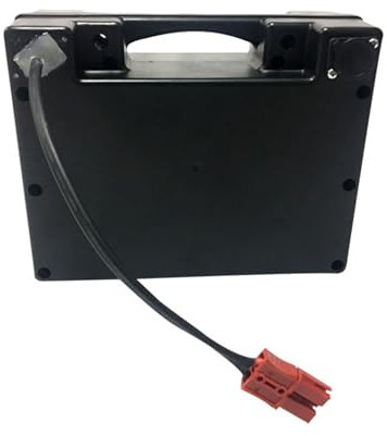 JHKJ Batterie de Fauteuil Roulant électrique 24V 6Ah 8Ah 10Ah 12Ah 15Ah 18Ah 20Ah 25Ah 30Ah 40Ah 50Ah Batterie 24V avec Chargeur et BMS adaptée aux Moteurs inférieurs à 1000W.,24v10ah