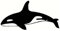 JIFENLI Autoaufkleber 15,2 * 7,5 CM Orca Killerwal Fisch Auto Aufkleber Aufkleber Oldtimer Styling Dekoration Zubehör
