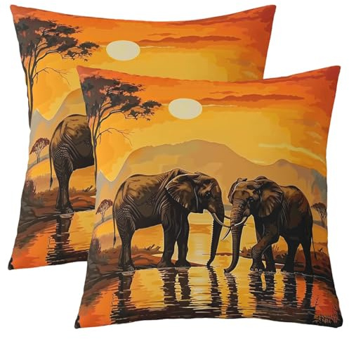 Homewish Elefant Tier Kissenbezüge Set Von 2 40x40cm | Kissenbezug Afrikanische Elefanten Drucken Kissenabdeckungen Werfen Wilde Safari Ästhetische Natur Sonnenuntergang