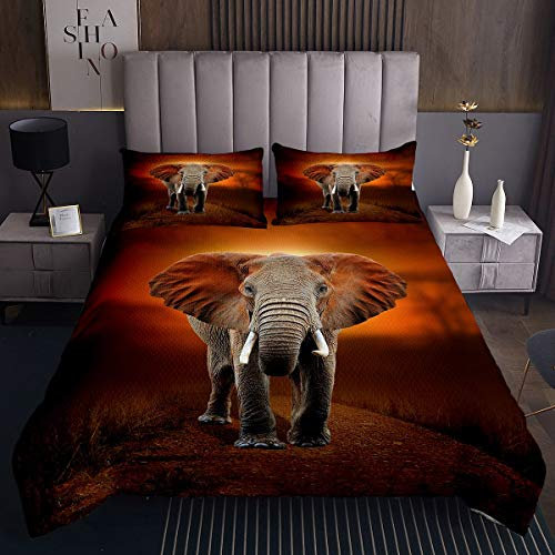 Homemissing Elefant Steppdecke Braun Böhmischer Elefant Tagesdecke 170x210cm für Kinder Boho Exotischer Stil Bettüberwurf 3D Wildtier Muster Wohndecke 2St