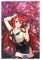 Rias Gremory Anime Leinwand-Poster, Motiv: High School DxD