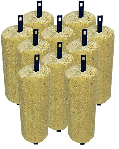 ANICULIS - VEGAN Energiekuchen für Wildvögel mit Erdnüssen, Wildvogelfutter, Premium-Qualität - ohne tierischen Produkte, ohne Palmöl - Multipack (10 x 440g)