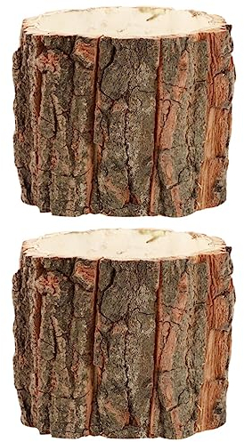 OSALADI 2 macetas de tronco de árbol para suculentas, de corteza de madera, maceta rústica natural, cactus, maceta, jarrón para plantas, jarrón de granja, soporte para arreglos florales para jardín,