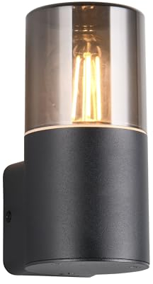 Trio Leuchten Außen Wandleuchte Hoosic 224060132, Druckguss Aluminium Schwarz matt, Schirm Acryl rauchfarbig, exkl. 1x E27