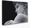 ConKrea QUADRO SU TELA CANVAS - INTELAIATO - PRONTO DA APPENDERE - David di Michelangelo - Arte Firenze - 50x70cm - Senza Cornice - (cod.2782)