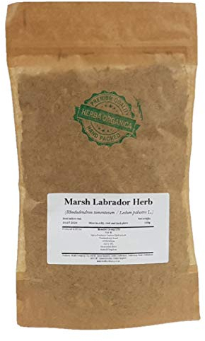 Sumpfporst Kraut/Rhododendron Tomentosum/Marsh Labrador Herb # Herba Organica # Ledum Palustre, Rosmarinkraut, Rosskraut (50g)