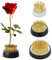 TonJin 3 Stück Blumen Frosch/Runde Blumenhalter mit Messingnadel,Blumenigel Flower Frog für Blumenarrangements, Kunst, Heimbüro-Dekoration(2,3 cm, 3,4 cm, 4 cm)