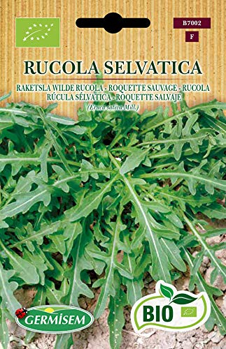 Germisem Biologico Rucola Selvatica Semi di Rucola 2 g