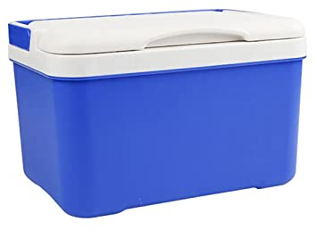 DieffematicBX Nevera Pequeña 6L Car Fridge Travel Refrigerator Mini Fridges for Car Home Portable Refrigerator Milk Food Carrier with Handle