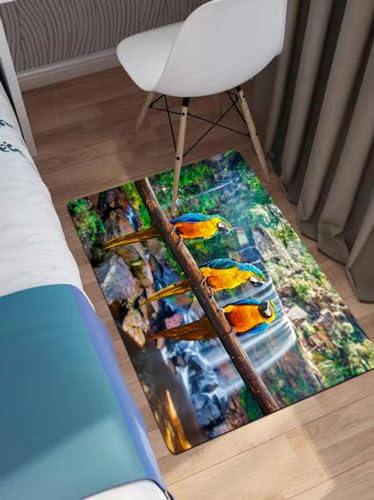 EWFAS Badteppich,Blau-gelber Ara (Ara ararauna), auch bekannt als Blau-Goldener Ara vor,viele schöne Badematten zur Auswahl Badvor leger sehr weich und rutschfest waschbar und schnelltrocknend40x60cm