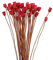 Yeory Ramo de Margaritas secas Decoración de Flores secas Naturales en Mesa de jarrón Floral 50 Tallos Rojo, Ramo de Flores secas