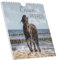 Traumpferde 2026 - Postkartenkalender 16x17 cm - Horses - zum Aufstellen oder Aufhängen - Monatskalendarium - Gadget - Mitbringsel - Alpha Edition