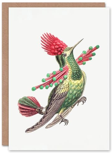 Artery8 Ernst Haeckel Art Card Hummingbird Vintage Illustration
