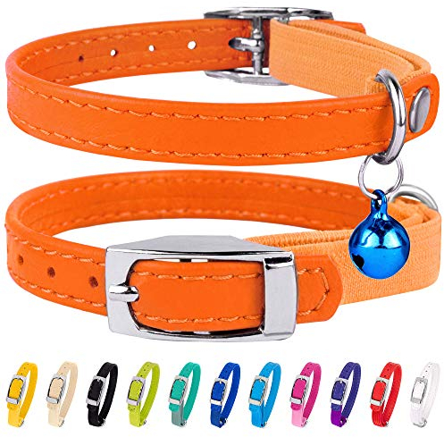 CollarDirect Leder Katzenhalsband mit Sicherheitsverschluss 21,5 cm Orange, Elastischer Gurt und Glocke für Kleine Katzen