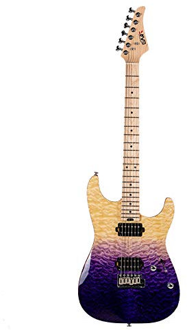 EART E-Gitarre 6 String Solid-Body 22 Bünde, Single, Single und Double Pickups, Musikstilumschaltung, klarer Ton, für verschiedene Bedürfnisse (Lila)