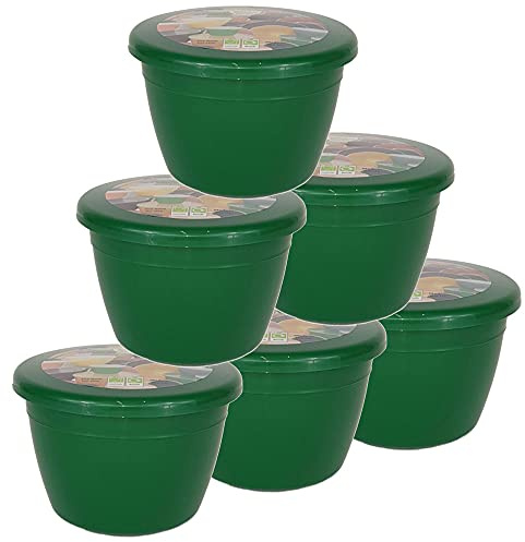 Just Pudding Basins 6 Pack of 1/4 Pint Small to Medium Sized Emerald Green Food Safe Steaming Bowls with Lids