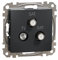 Schneider SDD114481S, Toma TV-Sat-Sat Final 4Db Antracita (EAN 3606481467423)