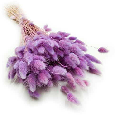 Enchanted Dekogras Getrocknetes Gras Ziergras Hasenschwänze Lagurus Ovatus Samtgras Häschen-Schwanzgras Trockenblumen Natürlich Boho 120 - 150 Stück 100 g Erikafarben