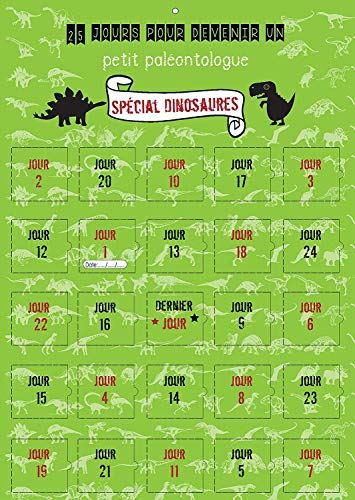 Adventskalender 25 DINOSAURES Kinder 2 – 10 Jahre – Kalender Jungen oder Mädchen, kleines Paläontoloque – 25 Tage auf Bildern