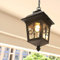 Mengjay E27 Hängelampen Außen Pendelleuchte Schwarz Retro IP44 Decken Vintage Industrielle Eisen Deckenbeleuchtung Regendichte Wasserdichte Pavillon Villa Loft Kronleuchter Aussenleuchte (J)