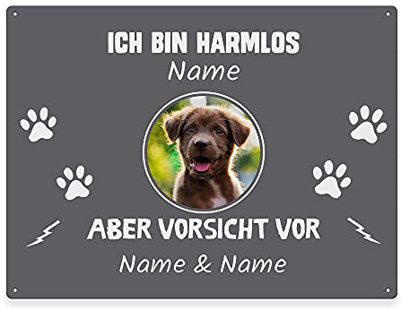 Hunde Schild personalisiert - Ich bin harmlos, aber Vorsicht vor - Metallschild mit Foto und Name für außen, wetterfestes Türschild für Hundebesitzer - DIN A5-21 x 15 cm, ein Tier, grau