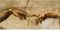 Die Erschaffung Adams von Michelangelo, berühmtes Gemälde, gedruckt auf Leinwand, Wandkunst, Poster und Drucke, Bilder, Dekoration, 153x75 cm, gerahmt und fertig zum Aufhängen