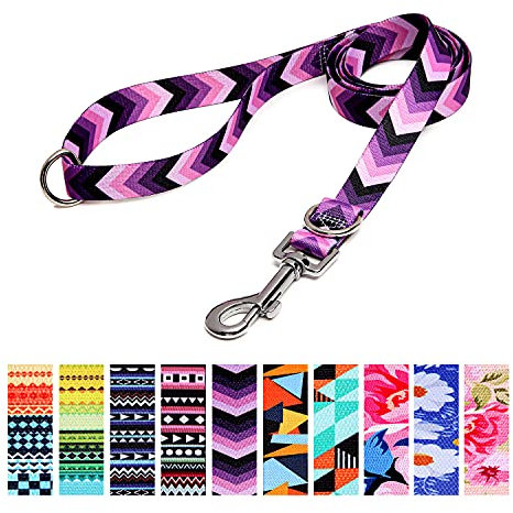 Suredoo Hundeleine Verstellbare, Weich & Komfort Nylon Haustier Trainingsleine mit Doppel-D-Ringfür Kleine Mittlere Große Hunde, 120cmx2cm (Pfeil)