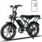 RCB G19 20'' E Bike, Elektrisches Mountainbike für Erwachsene, Pendel-Elektrofahrrad mit Abnehmbarem 48-V-20.8-Ah-Akku, Reichweite 35–90 km