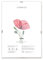 Lupia - Cornice a Giorno APPLY con Pannello Frontale Crilex in Acrilico, Made in Italy, Trasparente, per foto, documenti, pergamene, diplomi, stampe artistiche, poster, quadri moderni 50x70 cm