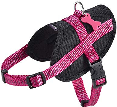 Bobby Easy Safe - Pettorina per cani con medaglietta, Taglia S, in Nylon Riflettente con Copri Manto, Chiusura a Fibbia regolabile, Fucsia, Misura Giropetto 39-50 cm