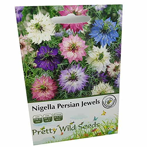 Nigella Persian Jewels Love in A Mist Seeds in Pictorial Packets from a UK Seller
