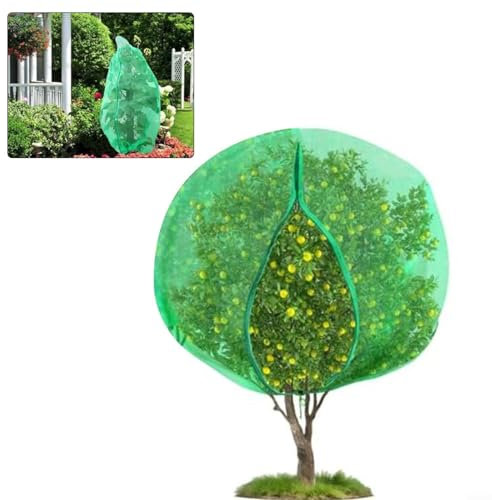 Advokingtap Bolsas de red de protección de plantas con cordón de cierre de malla fina para jardín, para árboles frutales, arándanos arbustos (3 x 4 m)