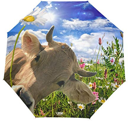 QMIN Automatischer faltbarer Regenschirm für den Sommer, Gänseblümchen, Kuh, Tier, winddicht, UV-Schutz, Reisen, kompakter Regenschirm für Damen, Herren, Mädchen