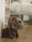 HomeZone Dog Doorstop Fabric Door Stop 26cm Rustic Home Decor Weighted Door Stopper Puppy Animal Plush Door Stopper