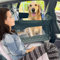 WheComd Dog Car Seat for Half Back Seat – Waterproof Hammock Style Cover for Medium to Large Dogs, Non-Slip, Hard Bottom, Mesh Window & Pocket – Fits Cars, SUVs, and Trucks (Black)