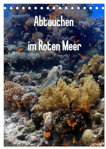 Abtauchen im Roten Meer (Tischkalender 2026 DIN A5 hoch), CALVENDO Monatskalender: Erleben Sie die maritimen Hauptdarsteller in ihrer ganzen Pracht. (CALVENDO Tiere)