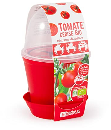 Radis et Capucine - Pot en cloche - Tomate cerise