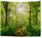 A.Monamour Wanddekor Wandteppiche Sonnenstrahlen Durch Buchen Bäume Wald Fußweg Straße Natur Landschaft Bild Stoff Wandbehang Tapisserie Wandkunst Dekore Tischdecke Bettdecke 180x230cm