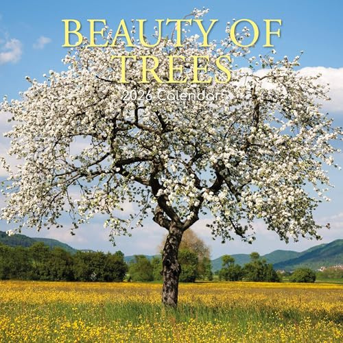 Beauty of Trees – Die Schönheit der Bäume 2026 – 16-Monatskalender: Original Gifted Stationery-Kalender [Mehrsprachig] [Kalender] (Wall-Kalender)