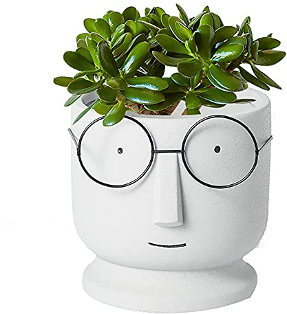 Visage Cache-pot Jardinière Ciment Pots De Fleurs,Petit Céramique Succulente Pot,Créatif Lunettes Visage Pots De Plantes Pots De Cactus Pour Accueil Bureau Mariage Décor-Blanc gris 14x14x13cm(6x6x5inc