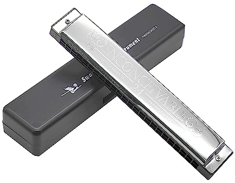 adiya Mundharmonika, 24 Löcher, polyphon, C-Tasten, Schlüsselfarbe D#, Messing-Edelstahl, professionell für Anfänger und Erwachsene
