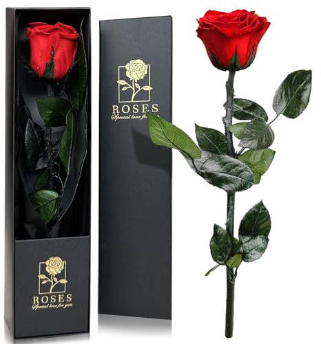 QHHENTOO Infinity Rose in Geschenkbox, Ewige Rose mit Stiel Geschenke für Frauen Echte Rosen Eine Konservierte Blume für Mama Damen Freundin zum Geburtstag Valentinstag Weihnachten Muttertag - Rot