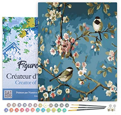 Figured'Art Malen Nach Zahlen Erwachsene Mit Rahmen Blumen und Vögel - Paint by Numbers Basteln DIY Bastelset 40x50cm - Leinwand gespannt auf Holzrahmen