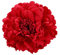 Butterme Multicolor Chiffon Blumen Blütenblatt Haar Clip Bogen Clip Barrettes Zubehör Alligator Clip Mädchen Headwear Kopfschmuck Blume Bogen Hairclip (Rot)
