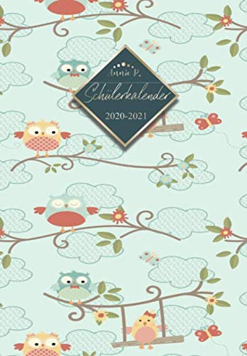 Schülerkalender 2020 / 2021: Schulplaner von August 2020 bis Juli 2021 / Praktischer Schülertimer zum notieren, planen und organisieren aller ... für das Schuljahr 20/21 Motiv Süße Eulen