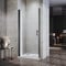 ELEGANT 1000mm Black Frameless Pivot Shower Door Enclosure 6mm Safety Glass Reversible Shower Cubicle Door