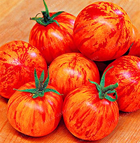 Sweet & Tangy Tigerella Tomate 80+ Fresh Bio Samen 2018