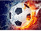 YDPTYANG Kinder Puzzle 1000 Stück Fußball Blume - Erwachsene Hölzernes Amateur Art Spiel - Creative Spielzeug