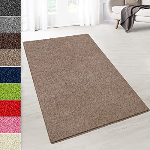 Floordirekt Velours-Teppich auf Maß - Flauschiger Teppichläufer für Küche, Flur, Wohnzimmer - Teppich Meterware Dynasty (Hellbraun, 200 x 450 cm)